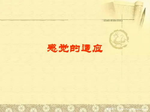 1.3感觉的适应--视觉适应、暗适应解析