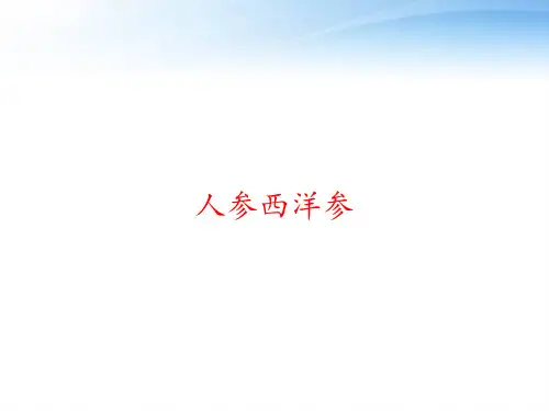 人参西洋参 ppt课件