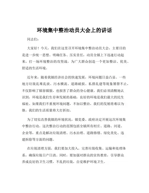 环境集中整治动员大会上的讲话