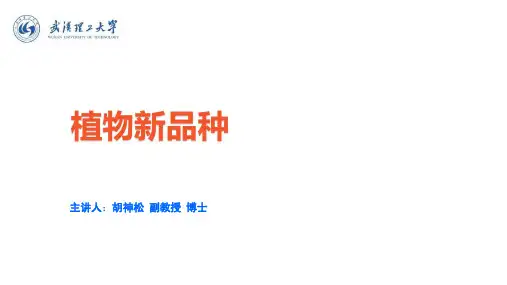 植物新品种ppt