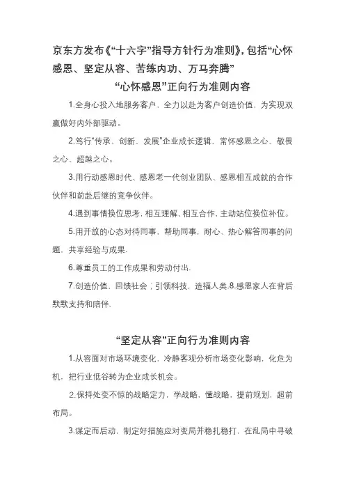 京东方董事长十六字指导思想