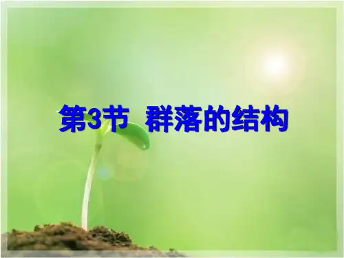 人教版生物必修三4.3《群落的结构》实用上课课件(共33张PPT)