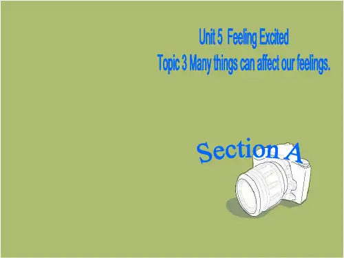 仁爱英语八年级下Unit 5 Feeling Excited  Topic 3 Section A