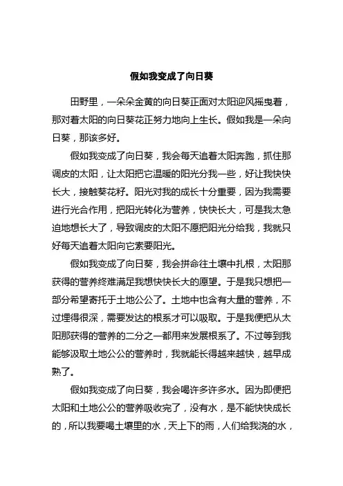 假如我变成了向日葵想象作文