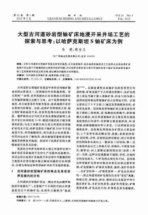 大型古河道砂岩型铀矿床地浸开采井场工艺的探索与思考：以哈萨克斯坦S铀矿床为例