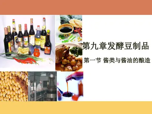 发酵豆制品