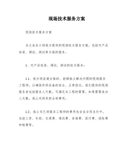 现场技术服务方案