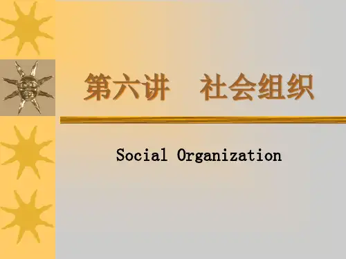 社会学课件 06社会组织