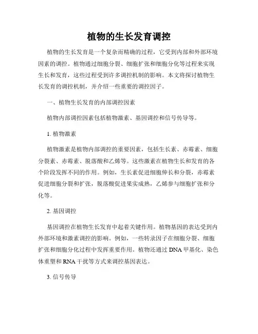 植物的生长发育调控