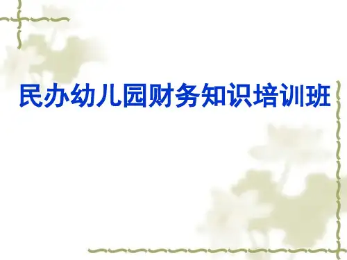 民间非营利组织财务知识培训班精品PPT课件