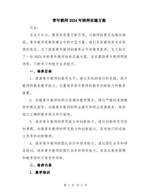 青年教师2024年培养实施方案
