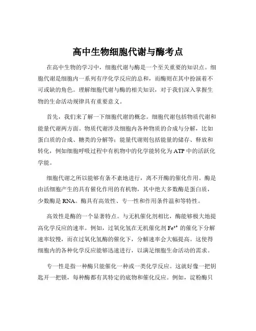 高中生物细胞代谢与酶考点