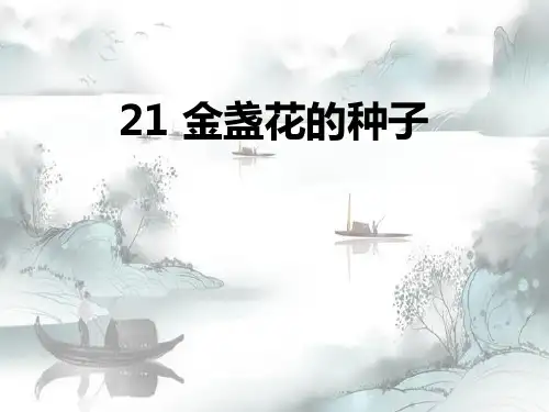 《金盏花的种子》PPT演示课件