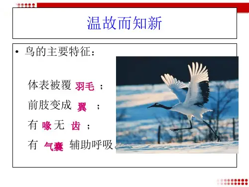 第二节 陆地生活的动物