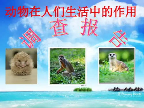 动物在人们生活中的作用
