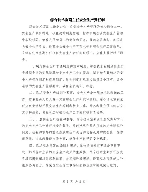 综合技术室副主任安全生产责任制
