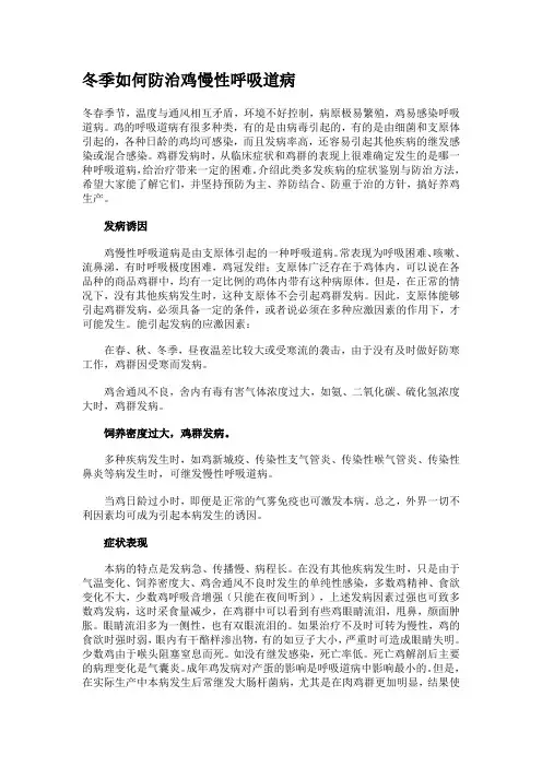冬季如何防治鸡慢性呼吸道病