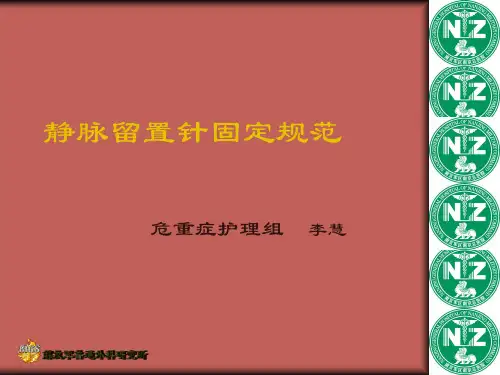 静脉留置针固定