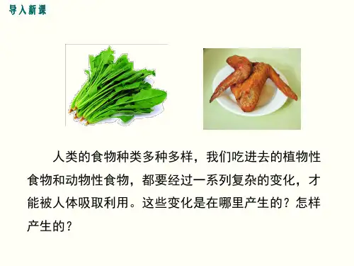 北师大版七年级生物下册第8章第2节食物的消化与吸收课件 