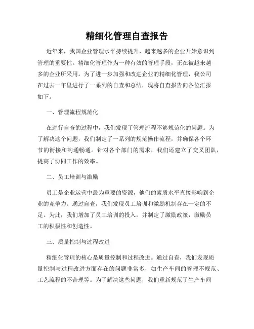 精细化管理自查报告