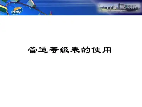 管道等级表演示