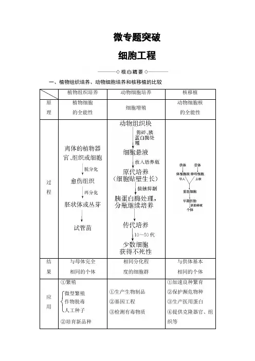 2018版高中生物(人教版)选修3同步教师用书：专题2 微专题突破 细胞工程