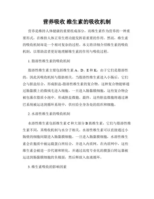 营养吸收 维生素的吸收机制
