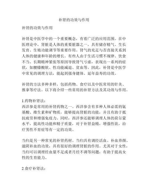 补肾的功效与作用