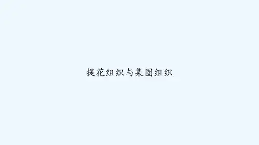 提花组织与集圈组织 PPT