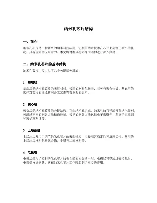 纳米孔芯片结构