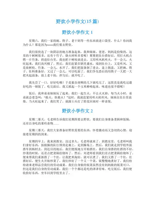 野炊小学作文(15篇)