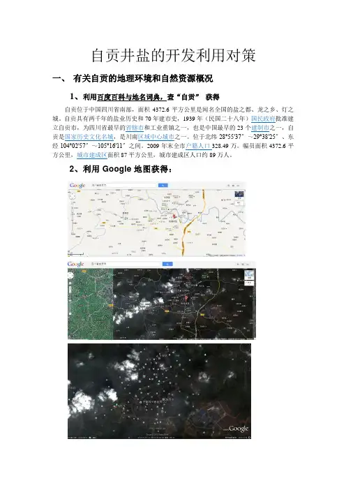自贡井盐的开发利用对策
