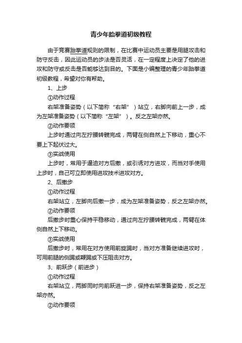 青少年跆拳道初级教程