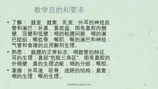 耳鼻咽喉的应用解剖生理1课件