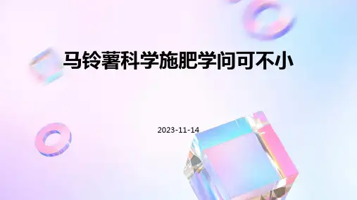 马铃薯科学施肥学问可不小