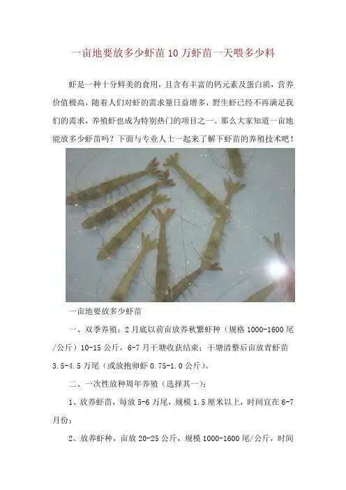 一亩地要放多少虾苗 10万虾苗一天喂多少料