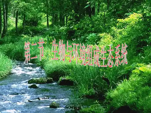 人教版七年级生物上册第一单元第二章 第二节 生物与环境组成生态系统 课件(共17张PPT)