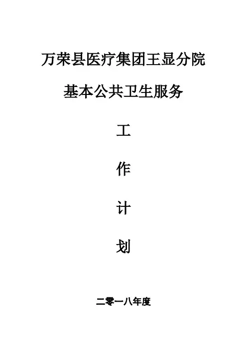2018年公共卫生的工作计划
