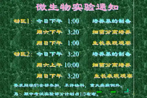 兽医微生物学免疫系统与免疫应答PPT课件