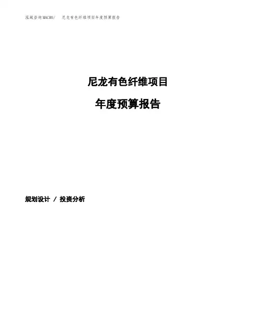 尼龙有色纤维项目年度预算报告