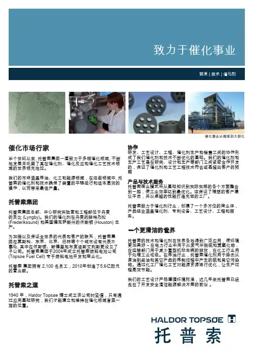 托普索公司简介