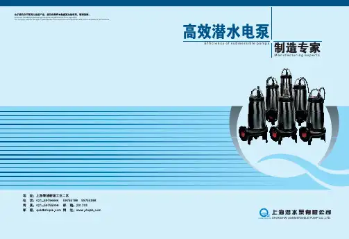 潜水泵样本2013