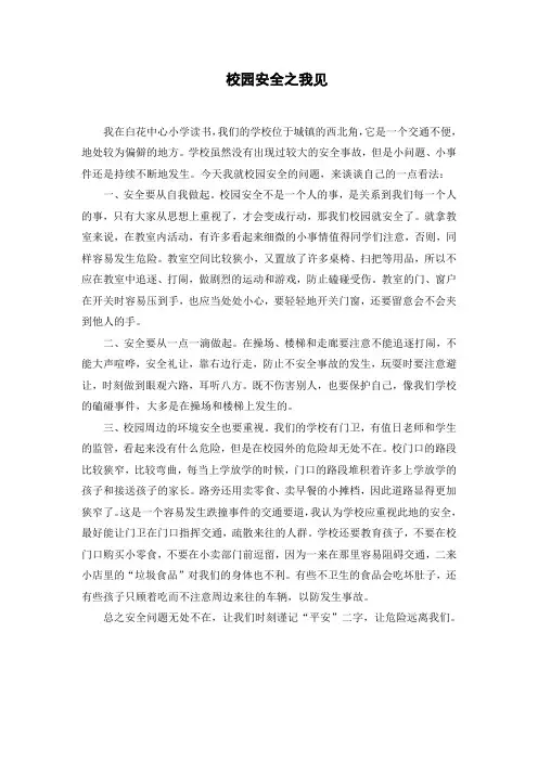 校园安全之我见