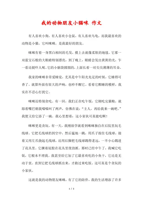 我的动物朋友小猫咪450字优秀作文