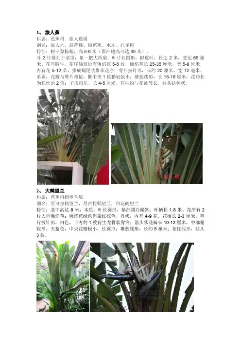 广东省深圳莲花山常用植物名录
