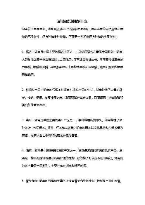 湖南能种植什么