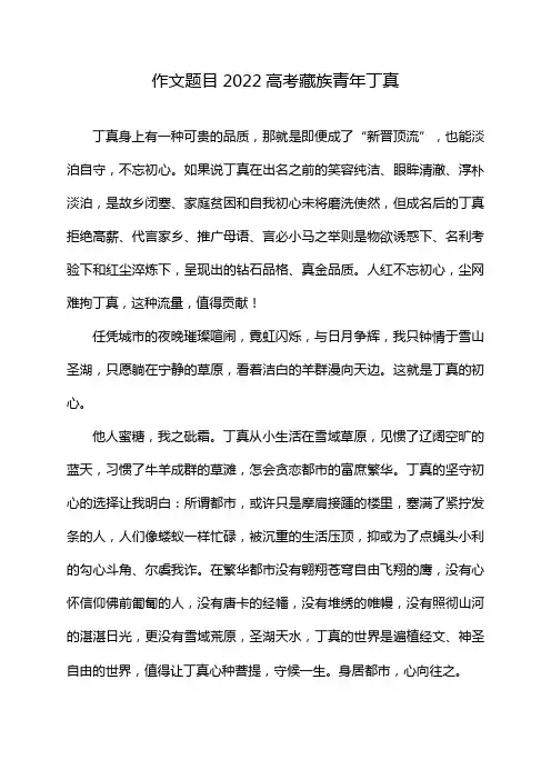 作文题目2022高考藏族青年丁真
