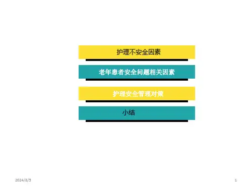 老年患者的安全管理ppt参考幻灯片课件