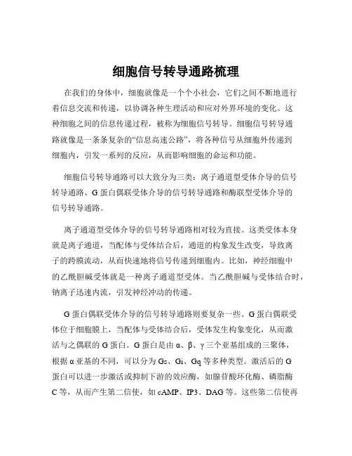 细胞信号转导通路梳理
