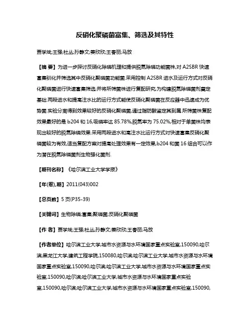 反硝化聚磷菌富集、筛选及其特性